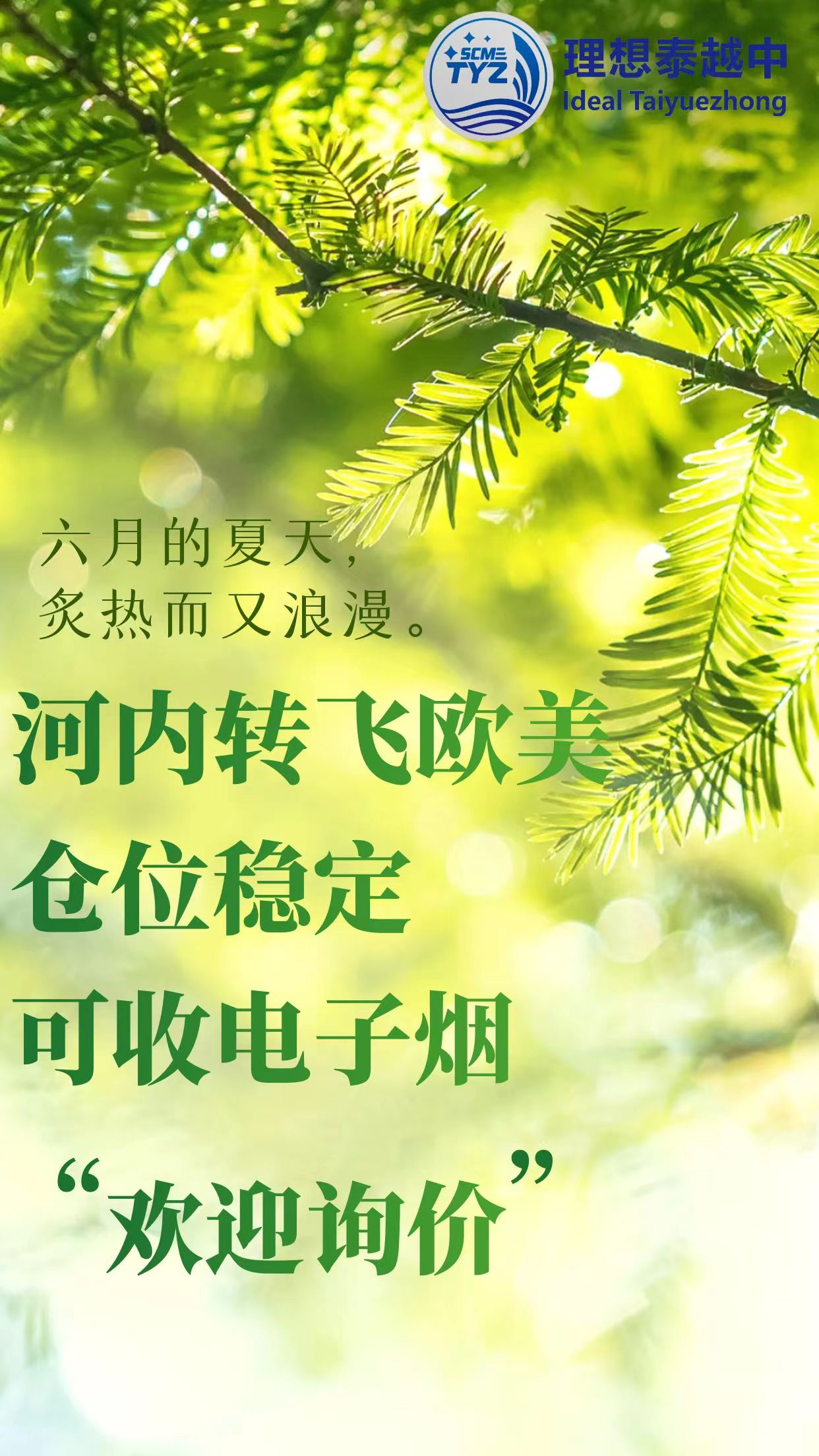 电子烟行业展望2024